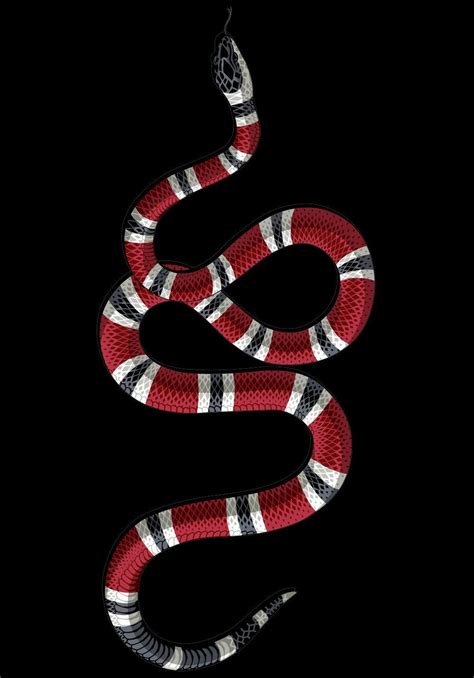 what species of snake is the gucci snake